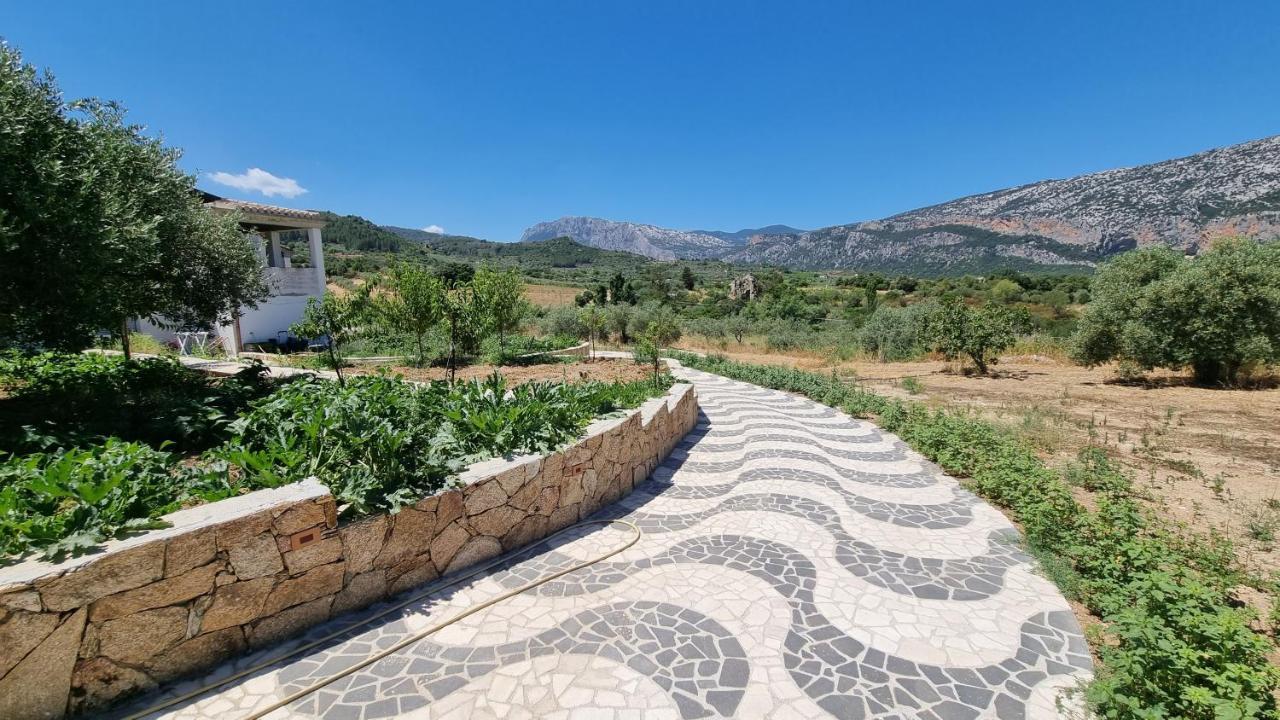 Villa Biriculi Dorgali Exteriér fotografie