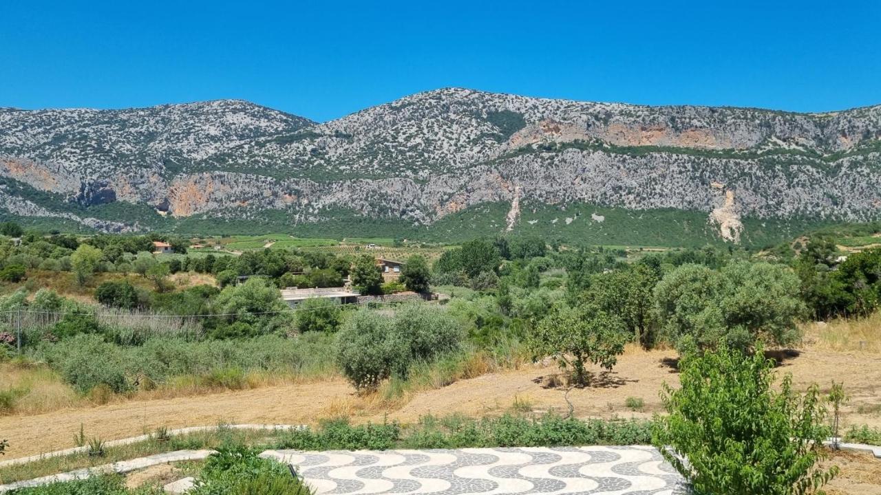 Villa Biriculi Dorgali Exteriér fotografie