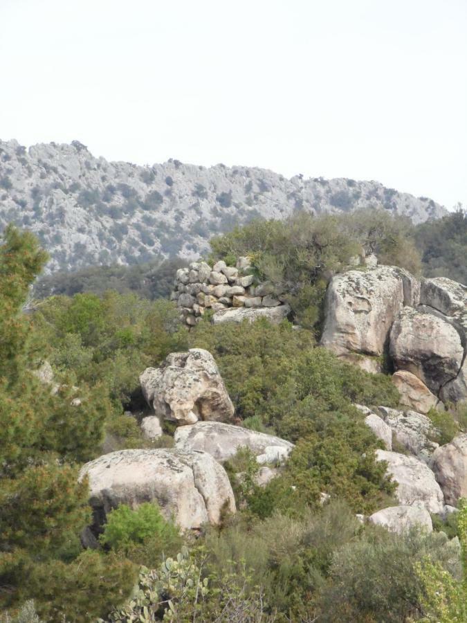 Villa Biriculi Dorgali Exteriér fotografie